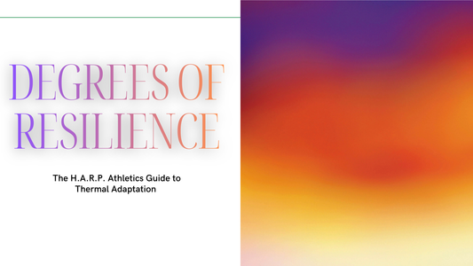Degrees of Resilience (Digital Guide)