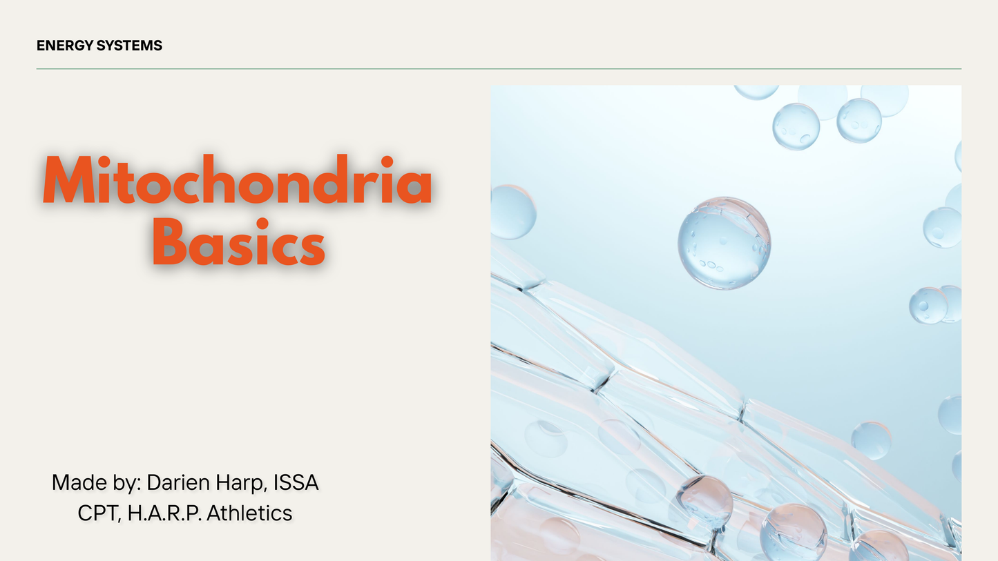 Mitochondria Basics: Endurance Guide (Digital)